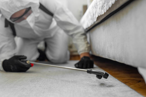 Professional Bed Bug Control technician working in Christmas, FL